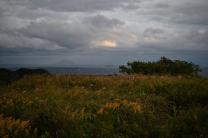 Nikon Digital Camera 岬の植物＝みさきのしょくぶつ＝Plants of the Cape