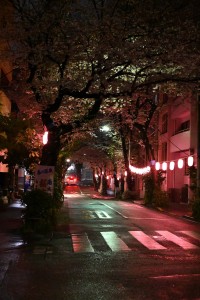 Nikon Digital Camera  南大塚 雨の夜桜☆