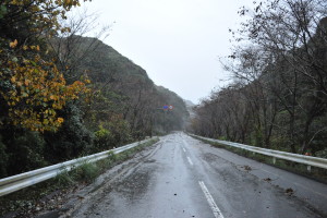 Nikon Digital Camera D700 秋深まる山の道路