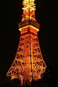 Nikon Digital Camera 樹影と東京タワー＝じゅえいととうきょうたわー