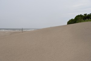 Nikon Digital Camera  雨の砂浜