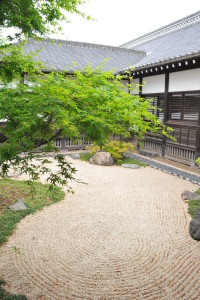Nikon Digital Camera D700 楓の新緑と日本庭園