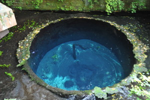 Nikon Digital Camera D700 青の湧水池