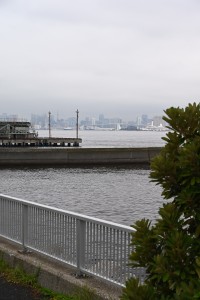 Nikon Digital Camera 梅雨のタイサンボクとレインボーブリッジ＆東京タワー