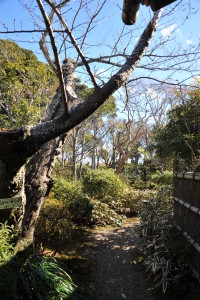 Nikon Digital Camera D700 冬の日本庭園