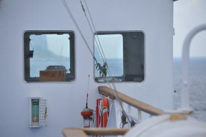 Nikon Digital Camera D700 船上の観葉植物☆ ※船の操縦室？に観葉植物のパキラが置いてありました☆ 一緒に航海をするほど緑をそばに置いておきたいのでしょうかね～♪ なんだか嬉しい思いを感じました(^^)