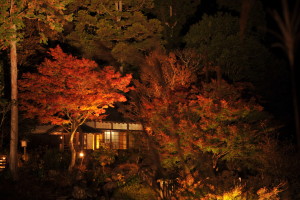 ちなみに古民家はこんな感じでした♪ 和の家で自然と調和して、四季を全身で感じるライフスタイルなんていうのも、なんだか素敵かもですよね～(^^)